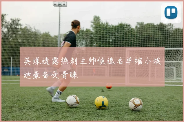 英媒透露热刺主帅候选名单缩小埃迪豪备受青睐