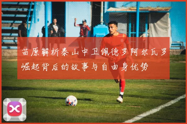 苗原解析泰山中卫佩德罗阿尔瓦罗崛起背后的故事与自由身优势