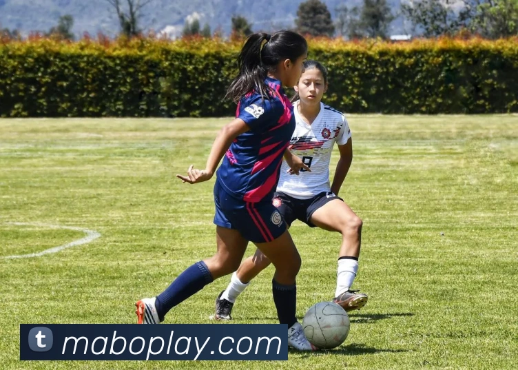 马博体育APP 体育赛事宣传图